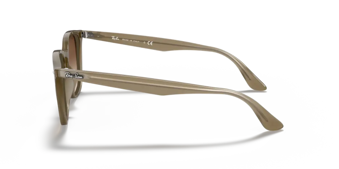 Ray-Ban 0RB4258F 616613