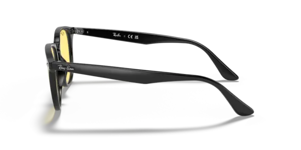 Ray-Ban 0RB4259F 601/85