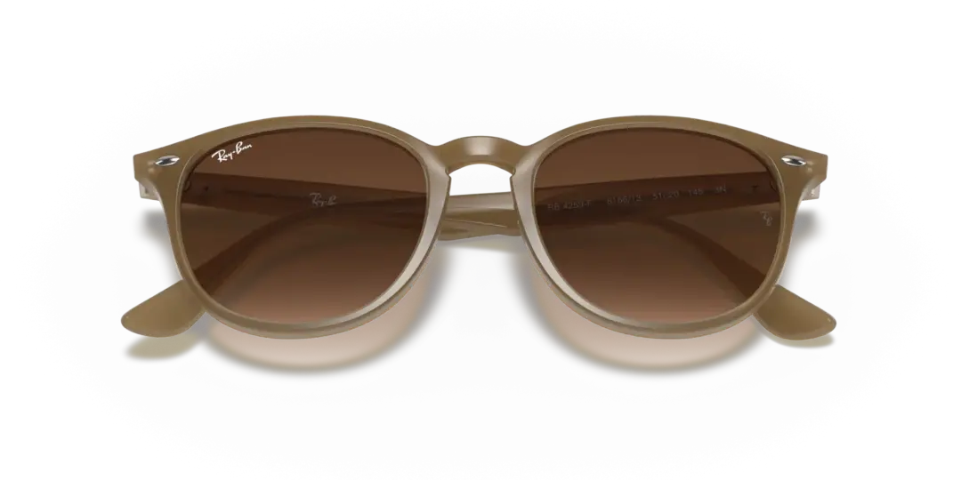 Ray-Ban 0RB4259F 616613