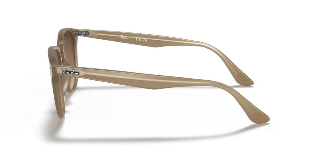 Ray-Ban 0RB4259F 616613