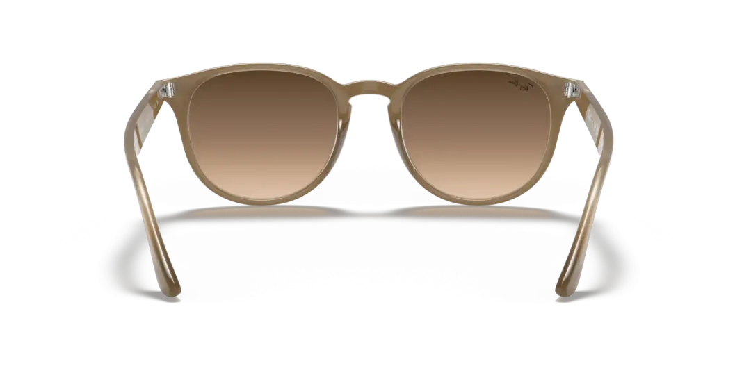 Ray-Ban 0RB4259F 616613