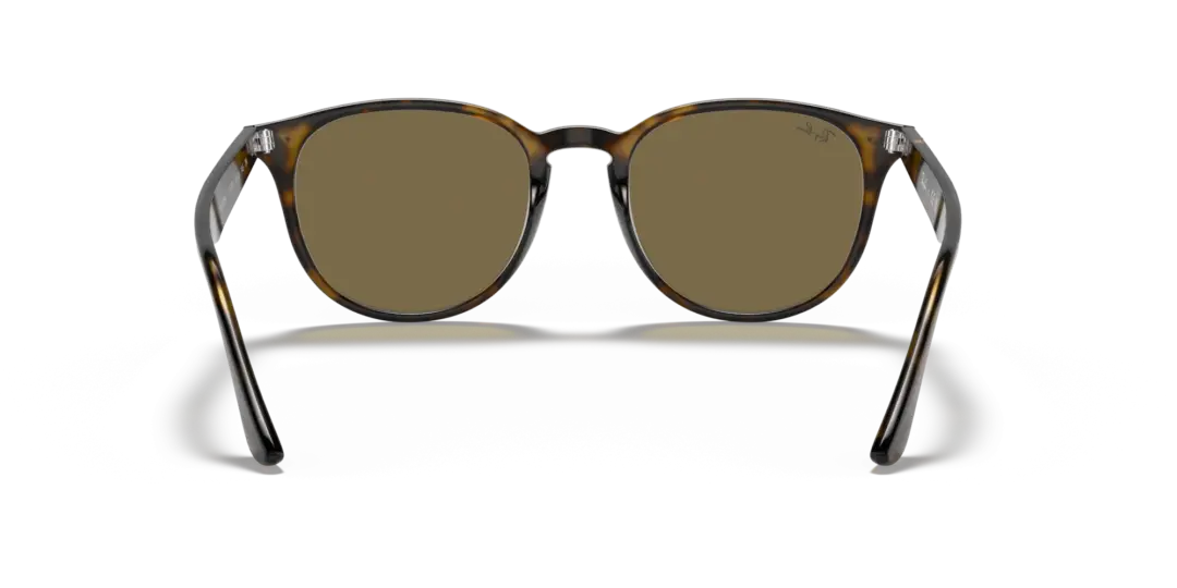 Ray-Ban 0RB4259F 710/73