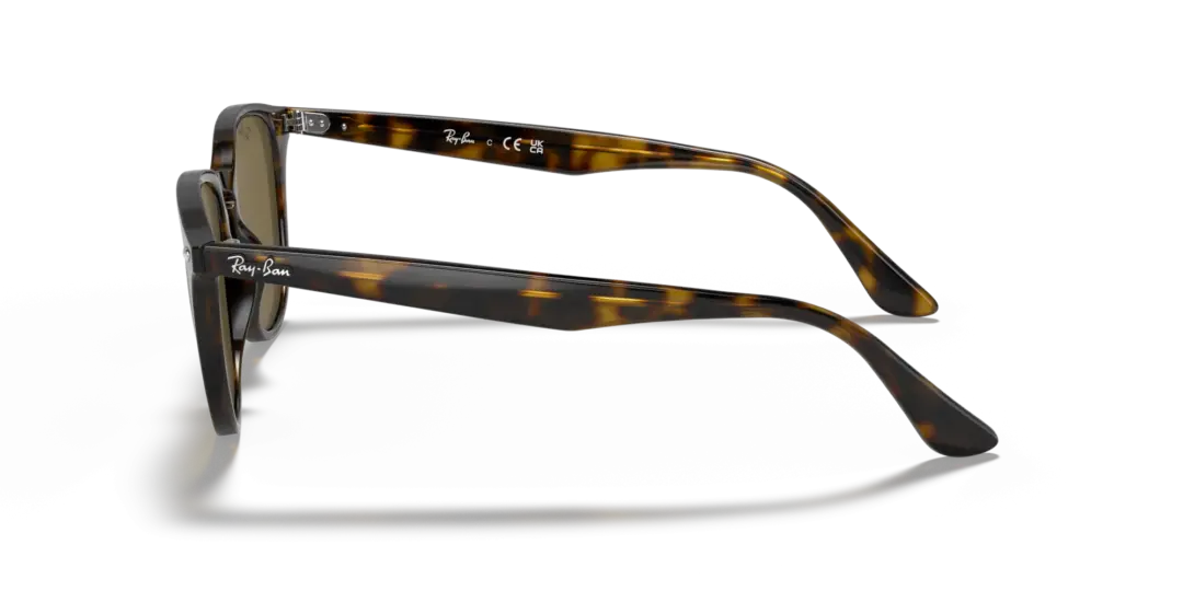 Ray-Ban 0RB4259F 710/73