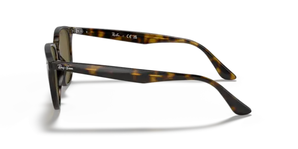 Ray-Ban 0RB4259F 710/73
