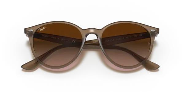 Ray-Ban 0RB4305F 616613