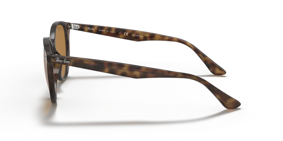 Ray-Ban 0RB4305F 710/83