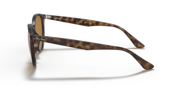 Ray-Ban 0RB4305F 710/83