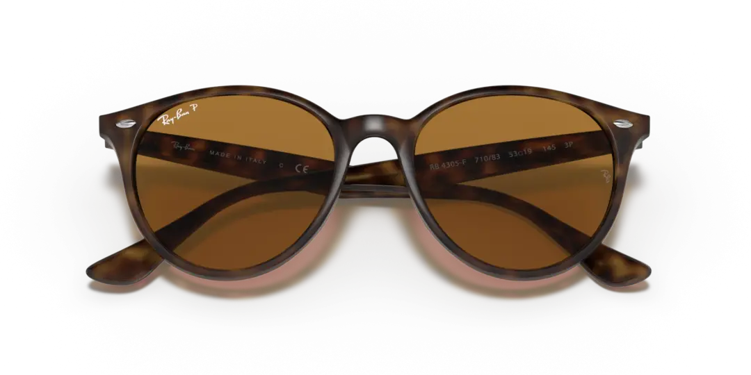 Ray-Ban 0RB4305F 710/83