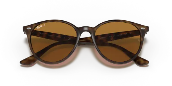 Ray-Ban 0RB4305F 710/83