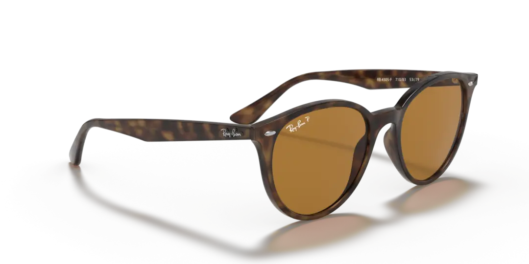 Ray-Ban 0RB4305F 710/83