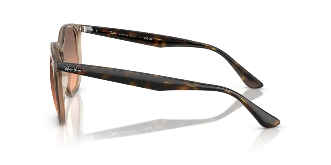 Ray-Ban 0RB4306F 678846