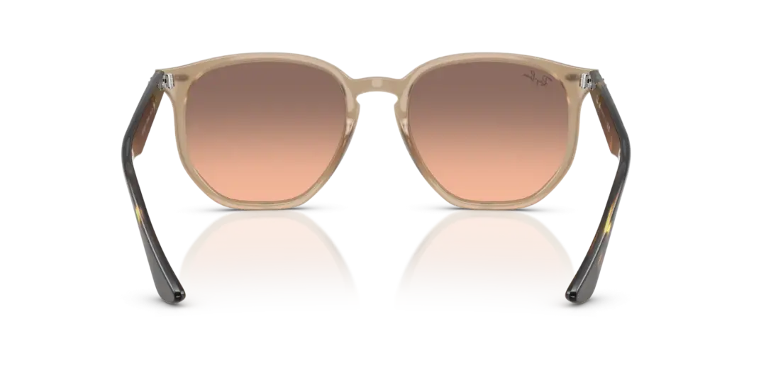 Ray-Ban 0RB4306F 678846