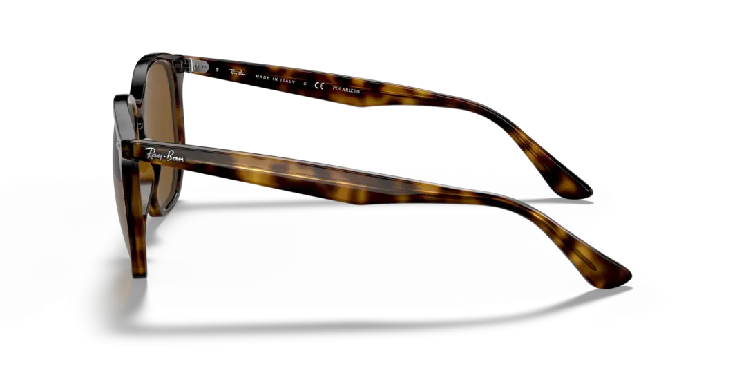 Ray-Ban 0RB4306F 710/83