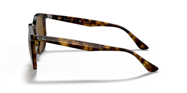 Ray-Ban 0RB4306F 710/83