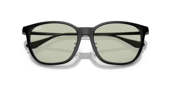 Ray-Ban 0RB4333D 601/2