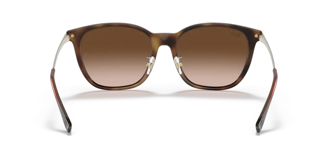 Ray-Ban 0RB4333D 710/13