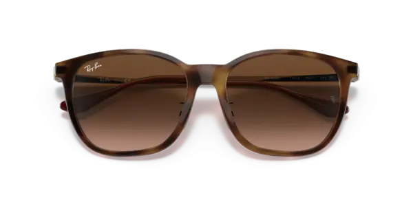 Ray-Ban 0RB4333D 710/13