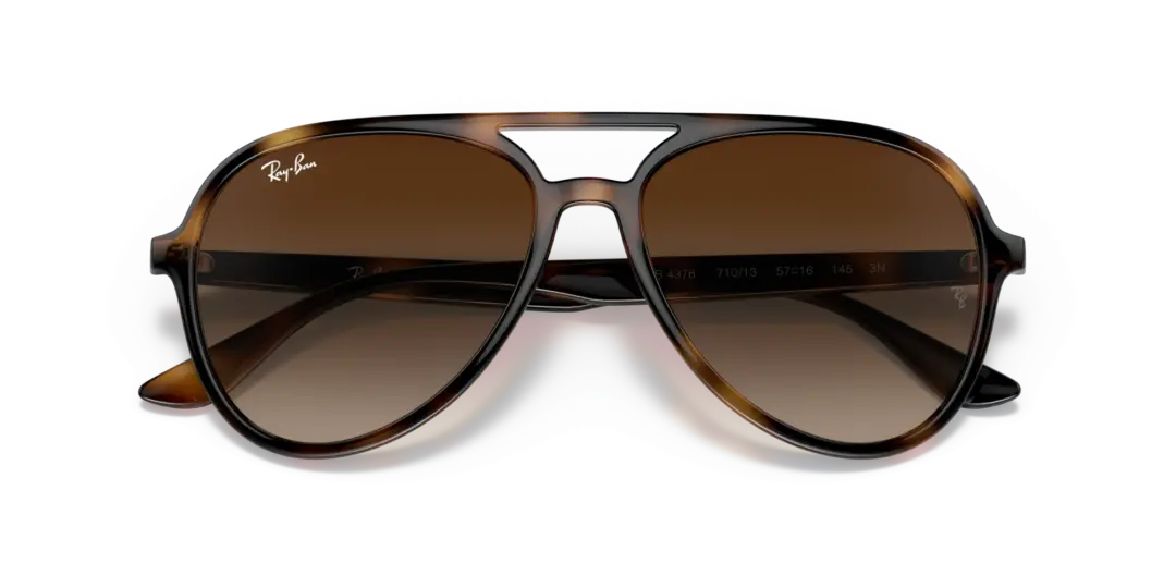 Ray-Ban 0RB4376 710/13