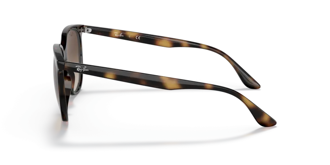 Ray-Ban 0RB4378F 710/13