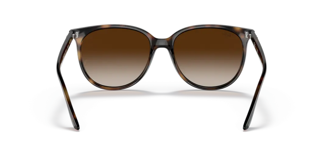 Ray-Ban 0RB4378F 710/13