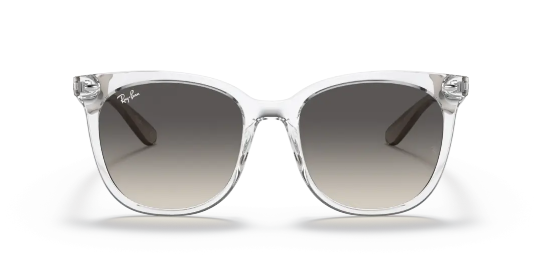 Ray-Ban 0RB4379D 659811