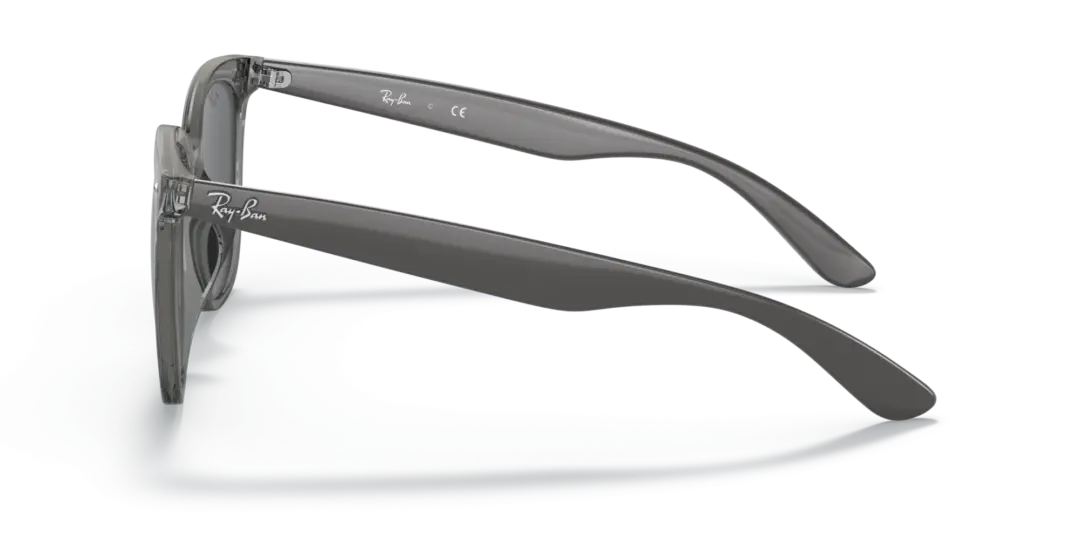 Ray-Ban 0RB4379D 659987