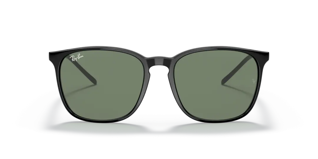 Ray-Ban 0RB4387F 901/71