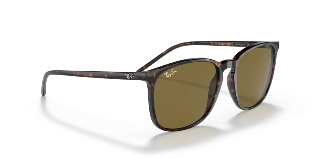 Ray-Ban 0RB4387F 902/73