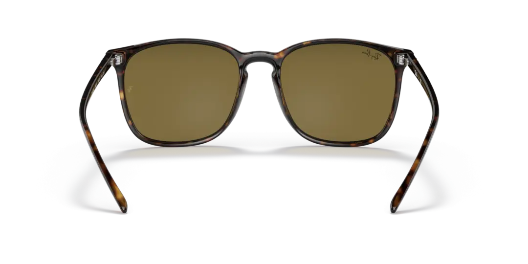Ray-Ban 0RB4387F 902/73