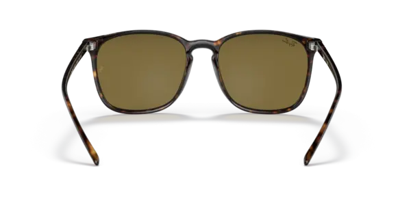 Ray-Ban 0RB4387F 902/73