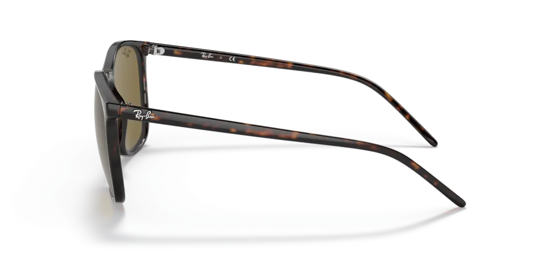 Ray-Ban 0RB4387F 902/73