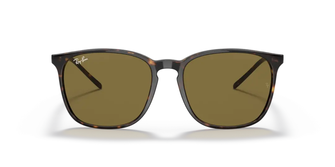 Ray-Ban 0RB4387F 902/73