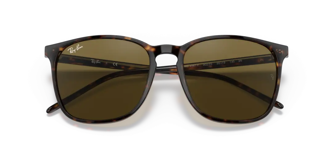 Ray-Ban 0RB4387F 902/73