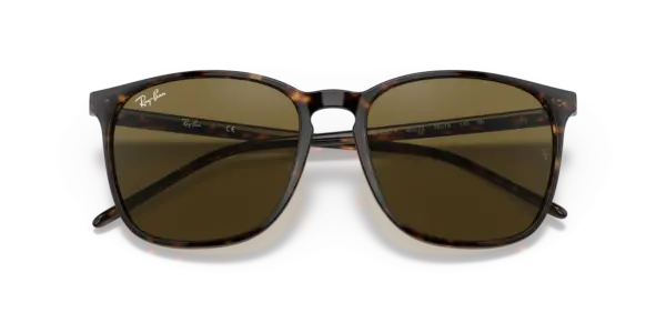 Ray-Ban 0RB4387F 902/73