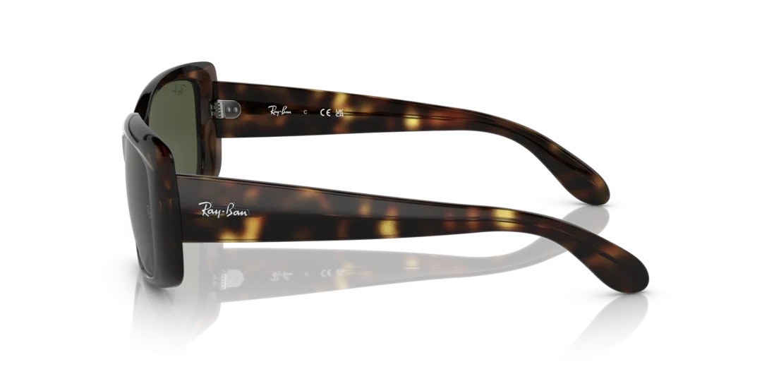 Ray-Ban 0RB4389 710/31