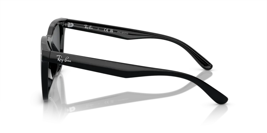 Ray-Ban 0RB4391D 601/81