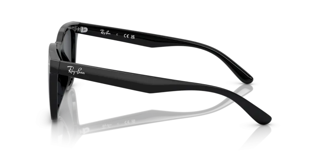 Ray-Ban 0RB4391D 601/87