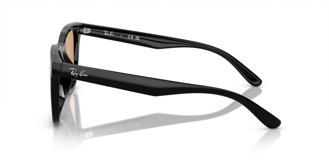 Ray-Ban 0RB4391D 601/93