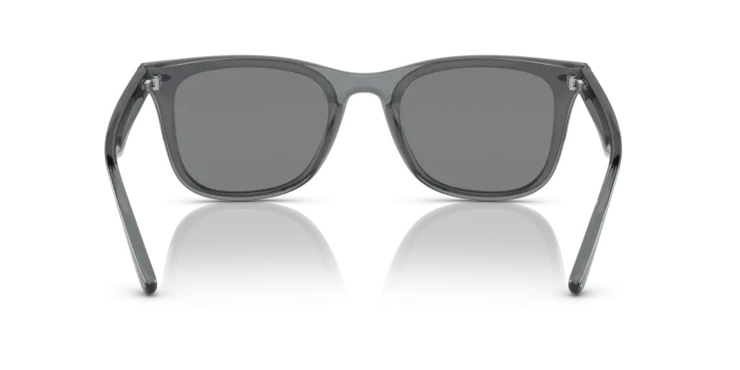 Ray-Ban 0RB4391D 645087