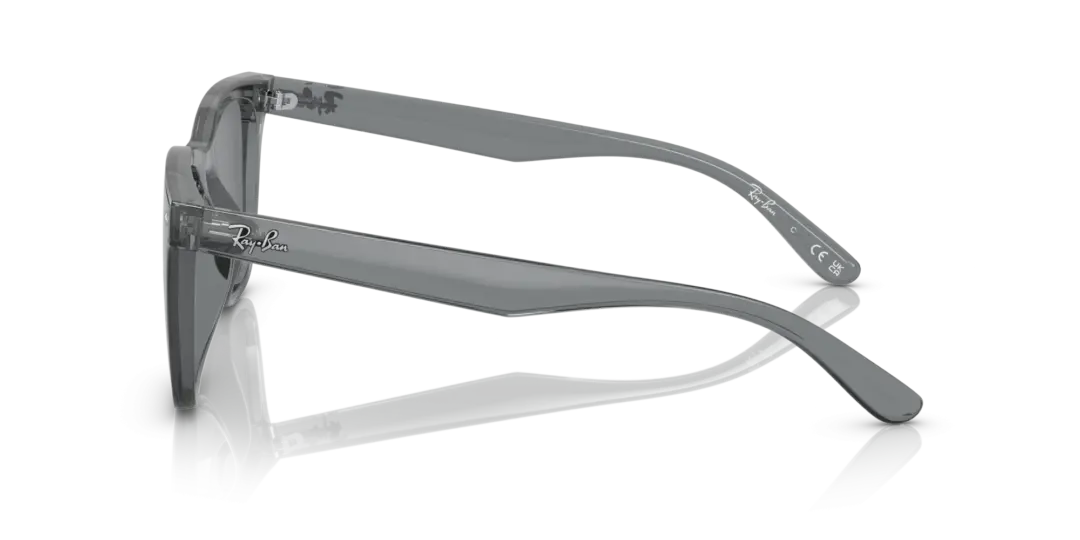 Ray-Ban 0RB4391D 645087