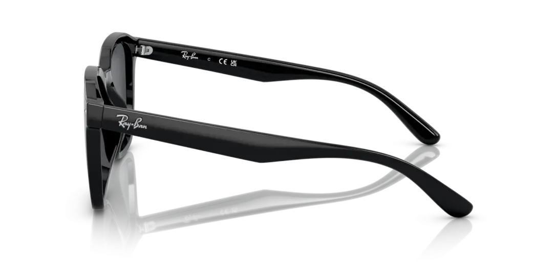 Ray-Ban 0RB4392D 601/87