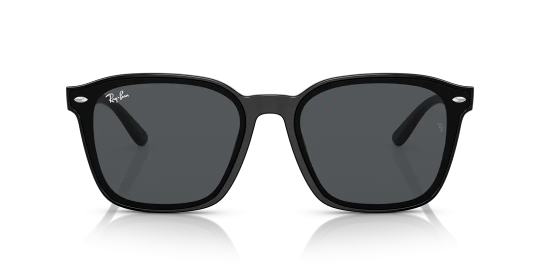 Ray-Ban 0RB4392D 601/87