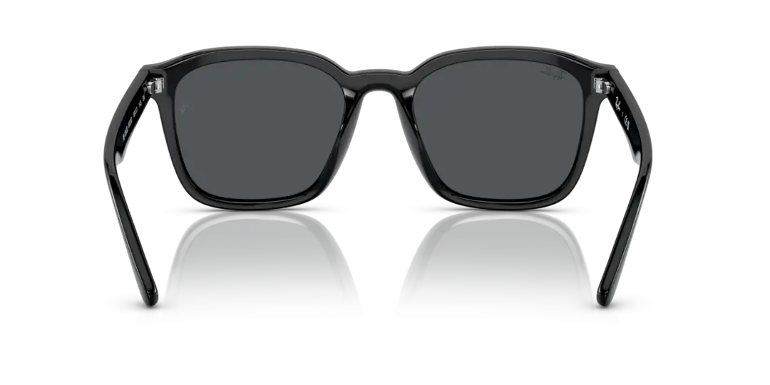 Ray-Ban 0RB4392D 601/87