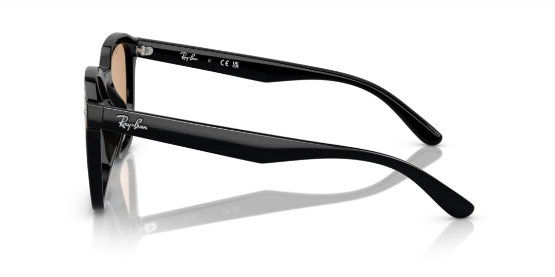 Ray-Ban 0RB4392D 601/93