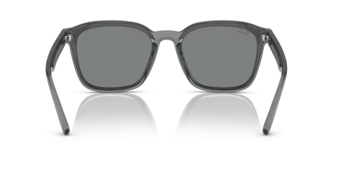 Ray-Ban 0RB4392D 645087