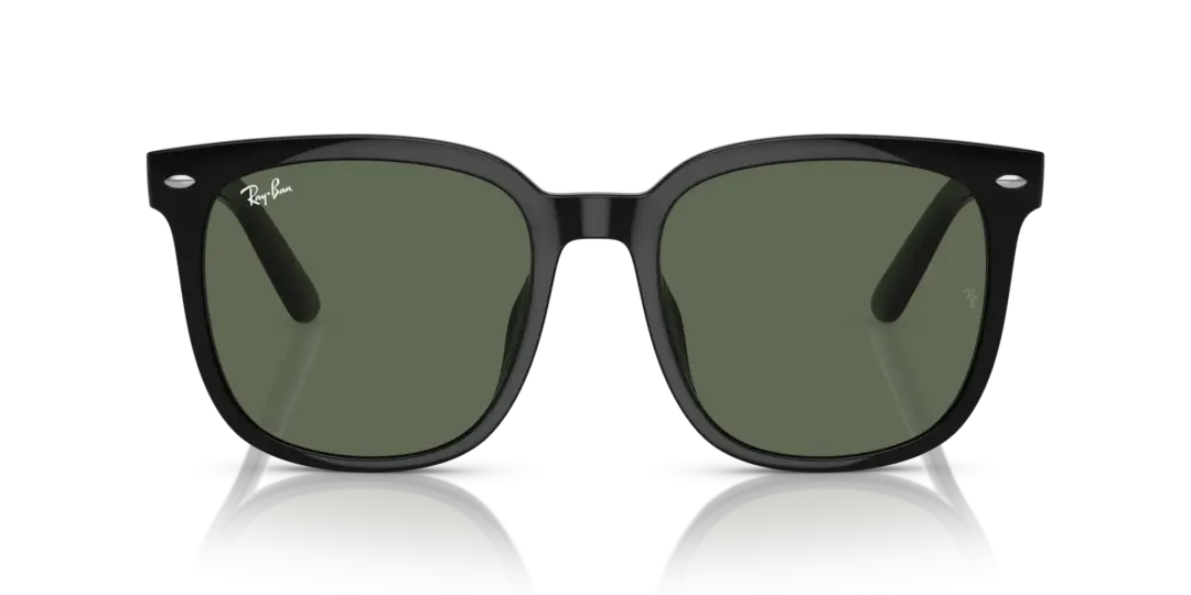 Ray-Ban 0RB4401D 601/71