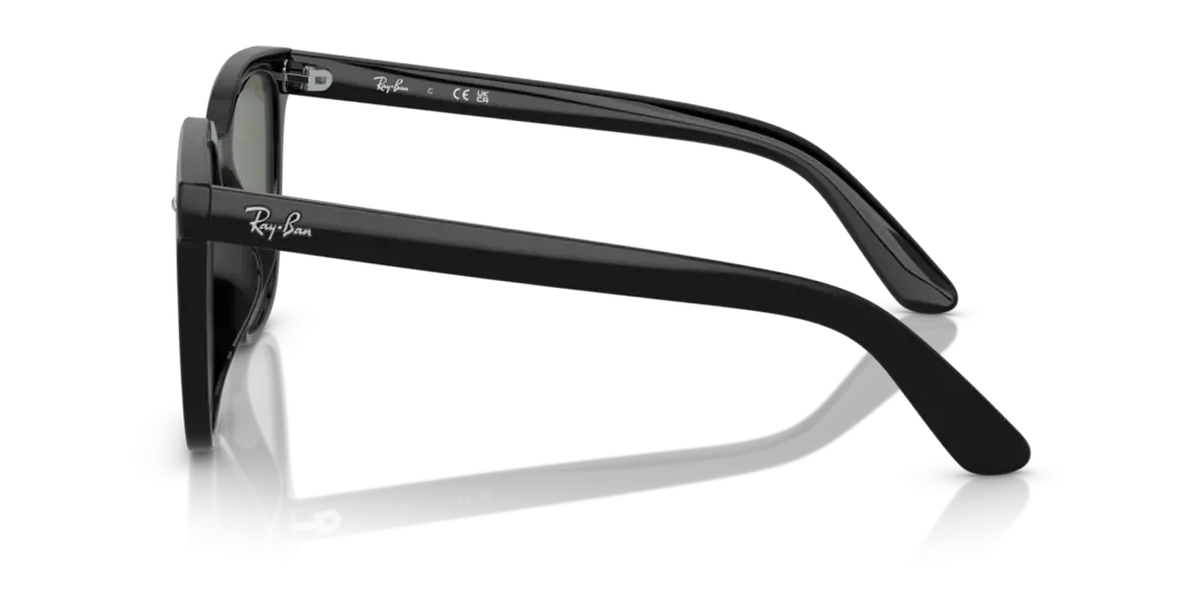 Ray-Ban 0RB4401D 601/71