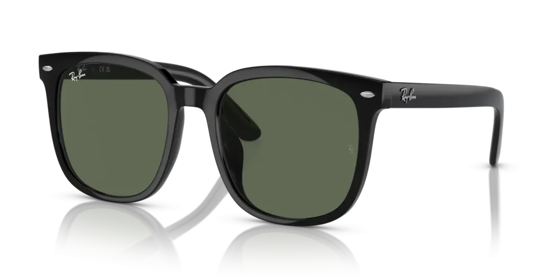 Ray-Ban 0RB4401D 601/71
