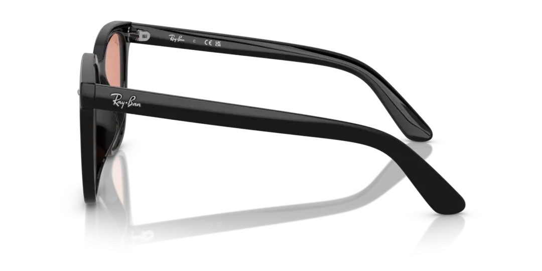 Ray-Ban 0RB4401D 601/74