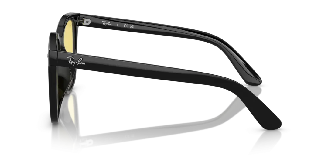 Ray-Ban 0RB4401D 601/85